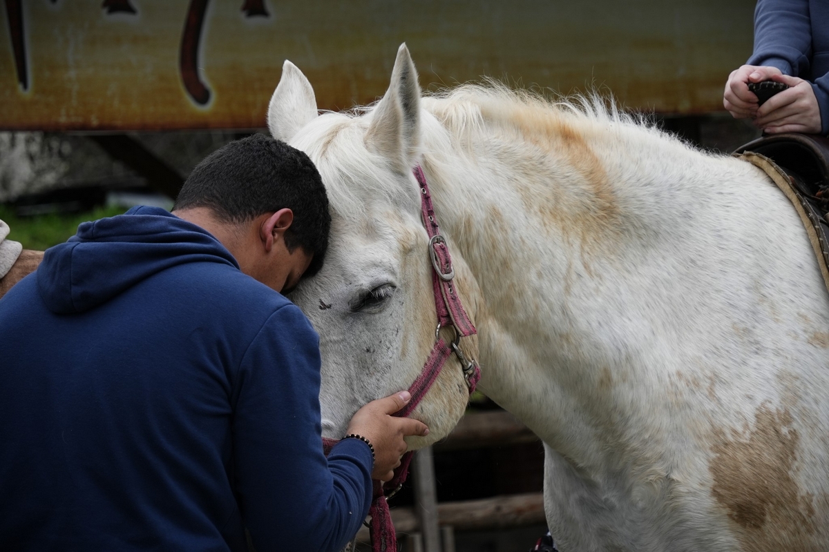 Снимка 34